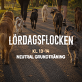 LÖRDAGSFLOCKEN 31/10 - Neutral grundträning