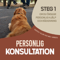 Personlig konsultation
