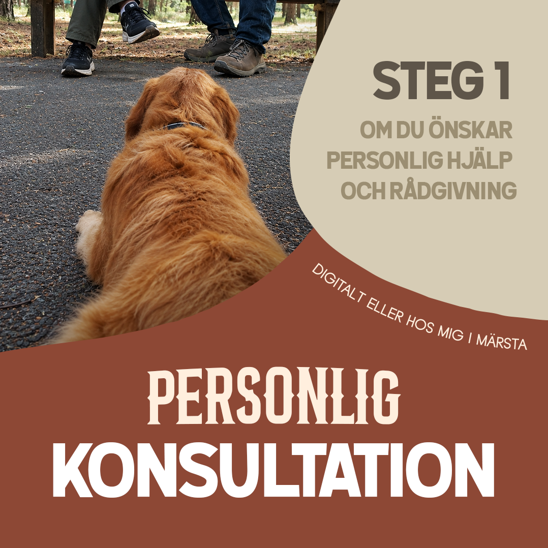 Personlig konsultation