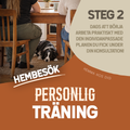 Personlig träning (hembesök)