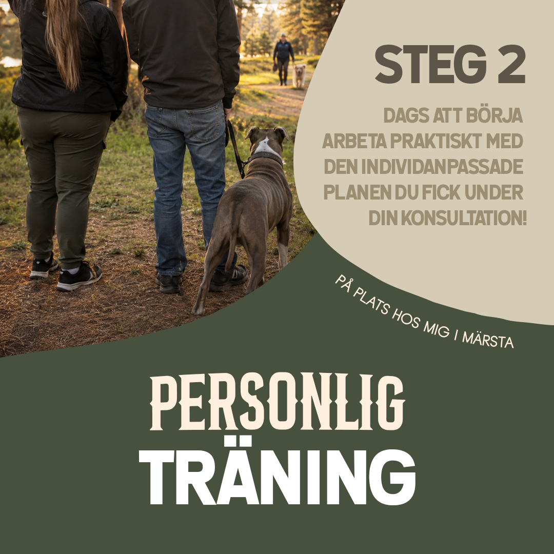 Personlig träning